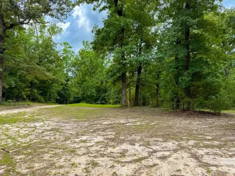 Tbd County Road 3145 Colmesneil TX 75938