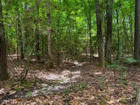 Tbd County Road 3145 Colmesneil TX 75938