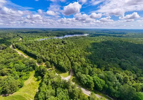 Tbd County Road 3145 Colmesneil TX 75938