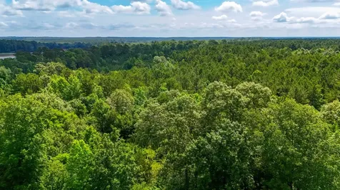 Tbd County Road 3145 Colmesneil TX 75938