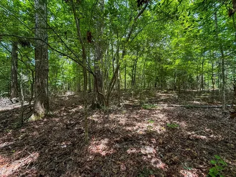Tbd County Road 3145 Colmesneil TX 75938