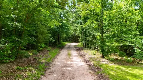 Tbd County Road 3145 Colmesneil TX 75938