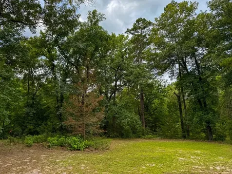 Tbd County Road 3145 Colmesneil TX 75938