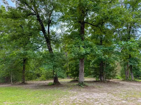 Tbd County Road 3145 Colmesneil TX 75938