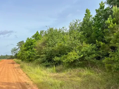3 Old Salem Church Road Willis TX 77378