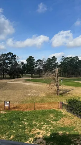 65 Shadow Creek Ridge Drive Spring TX 77389