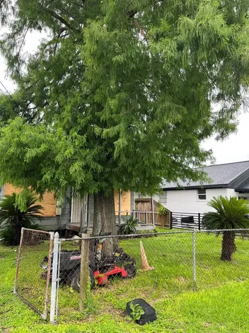 2514 Melbourne Street Houston TX 77026