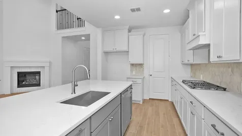 10922 White Mist Drive Missouri City TX 77459