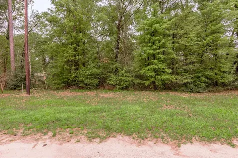 Lt 194 Evergreen Livingston TX 77351
