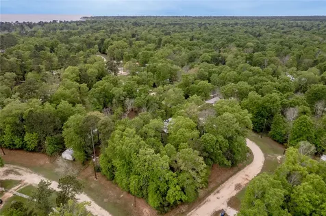 Lt 194 Evergreen Livingston TX 77351