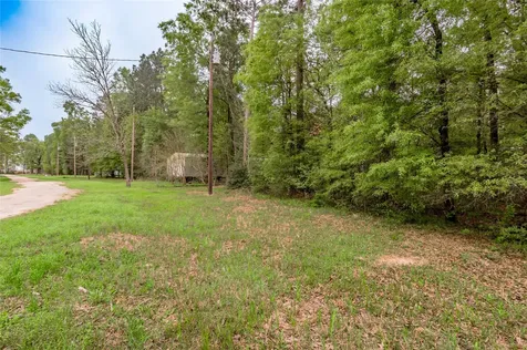 Lt 194 Evergreen Livingston TX 77351