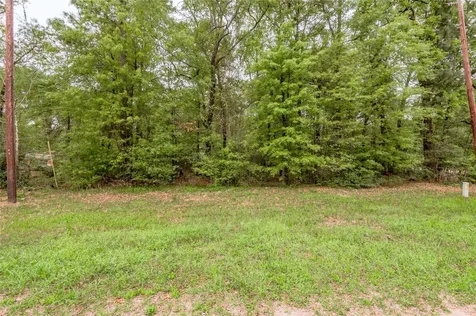 Lt 194 Evergreen Livingston TX 77351