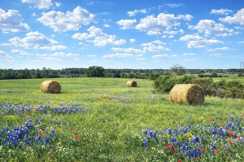 00 W Cr 315 E Buffalo TX 75831