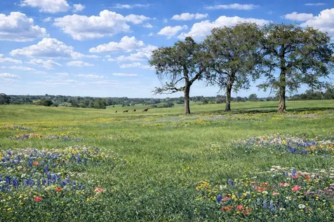 00 W Cr 315 E Buffalo TX 75831