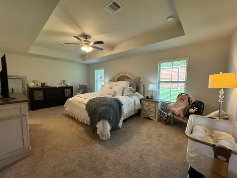 486 Terra Vista Circle Montgomery TX 77356