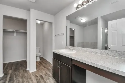 5342 Prairie Dog Fork Lane Richmond TX 77469