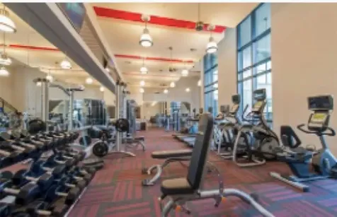 2033 S Gessner Road 2105 Houston TX 77063