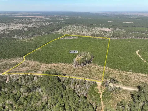 16 County Road 4415 Spurger TX 77660