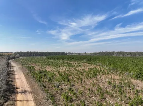 16 County Road 4415 Spurger TX 77660
