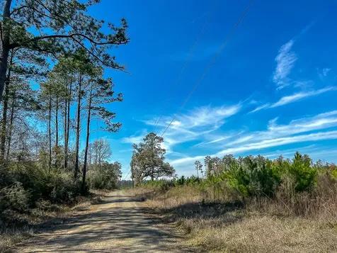 16 County Road 4415 Spurger TX 77660