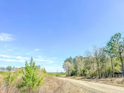 16 County Road 4415 Spurger TX 77660