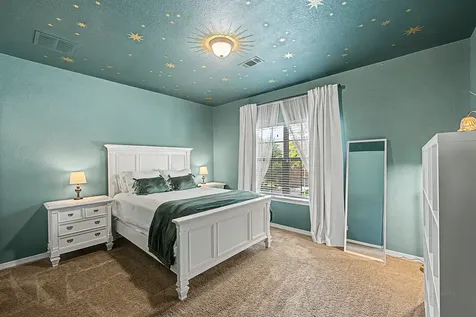 26714 Colt Bluff Court Katy TX 77494
