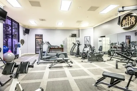 3350 Mccue Road 1703 Houston TX 77056