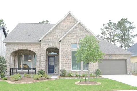120 Dandelion Way Montgomery TX 77316