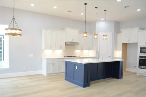 120 Dandelion Way Montgomery TX 77316