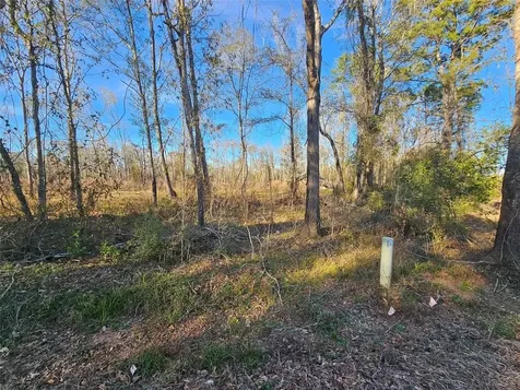 Lot 47 Sherwood Drive Shepherd TX 77371