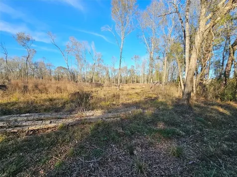 Lot 47 Sherwood Drive Shepherd TX 77371