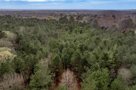14254 Cr 2080 Crockett TX 75835