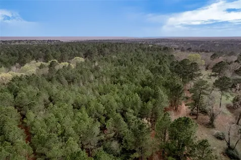 14254 Cr 2080 Crockett TX 75835