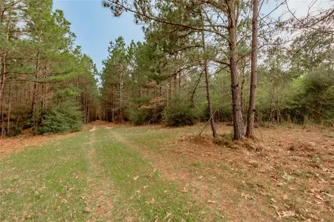 14254 Cr 2080 Crockett TX 75835