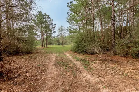 14254 Cr 2080 Crockett TX 75835