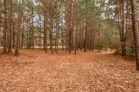 14254 Cr 2080 Crockett TX 75835