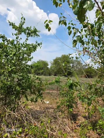 5000 E State Highway 21 Bryan TX 77808