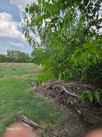 5000 E State Highway 21 Bryan TX 77808