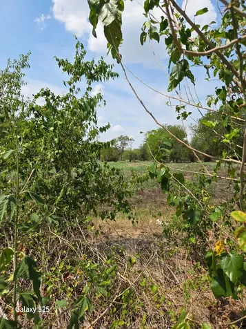 5000 E State Highway 21 Bryan TX 77808