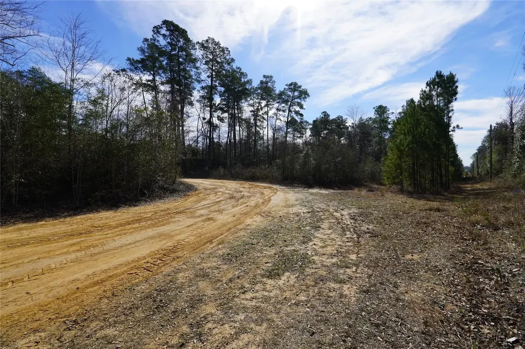 Tbd Road 2638 Cleveland TX 77327