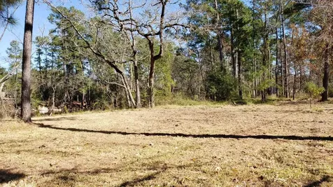 Lots 411 & 412 Big Deer Drive Crosby TX 77532