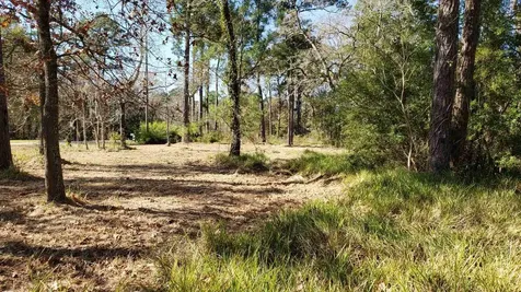 Lots 411 & 412 Big Deer Drive Crosby TX 77532