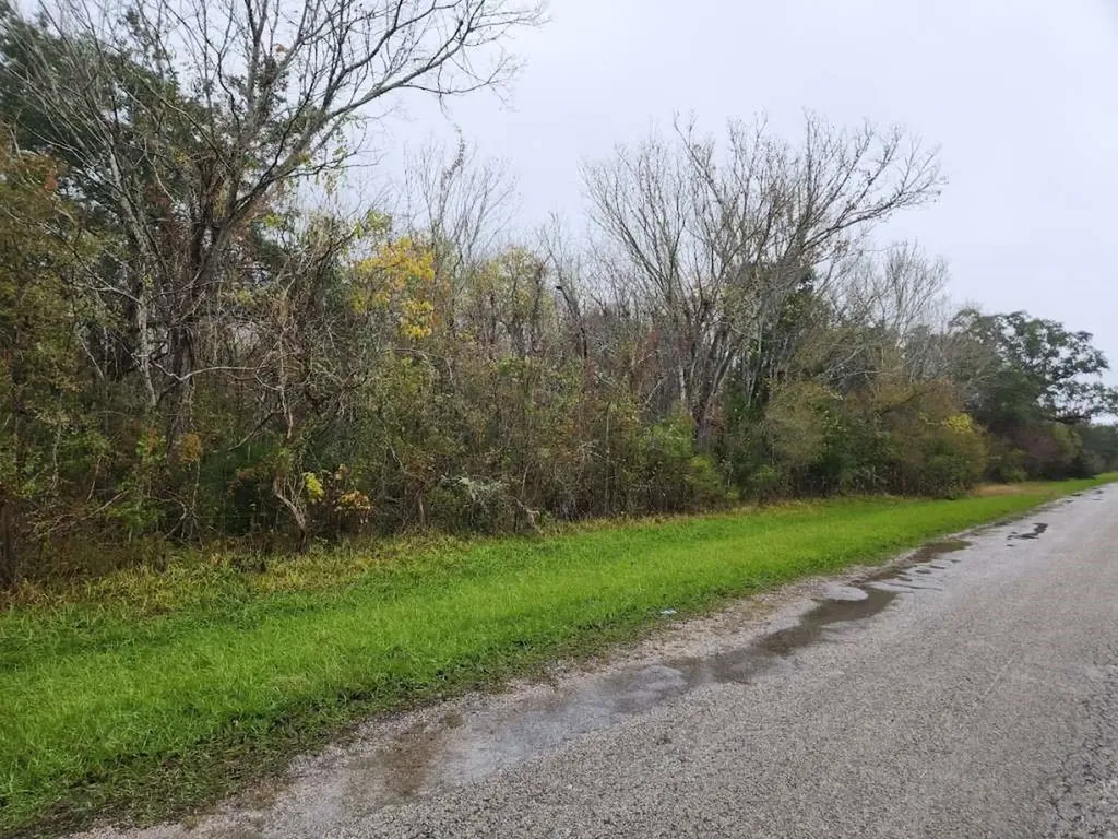0 County Road 279 Road Cedar Lake TX 77414
