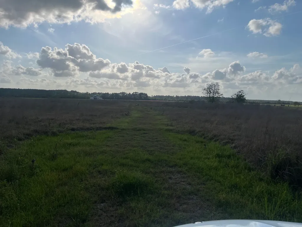 509 County Road 2285 Cleveland TX 77327