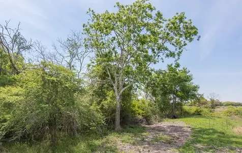 Tract 2 Farm Market 530 Edna TX 77957