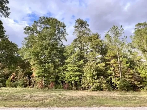 00 Hereford Trail Huntsville TX 77340