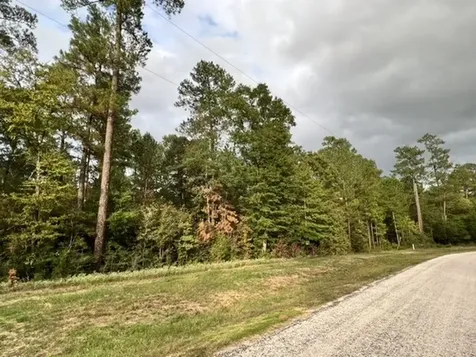 00 Hereford Trail Huntsville TX 77340