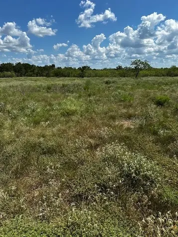 Lot 4 County Road 420 Waelder TX 78959