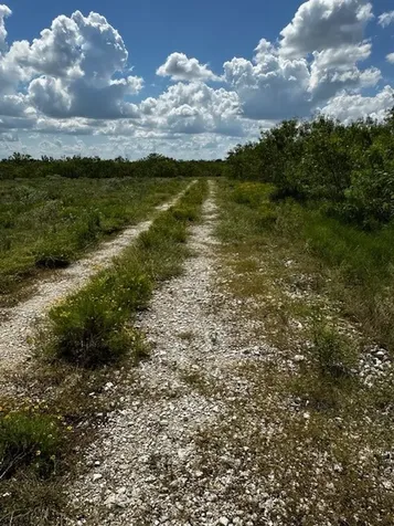Lot 4 County Road 420 Waelder TX 78959