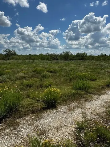 Lot 4 County Road 420 Waelder TX 78959